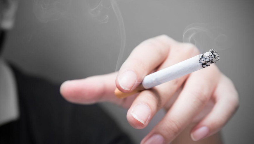 为了这一口特意去吃,新澳门免费资料大全2025年,详细释义解释落实_标清版V14.45